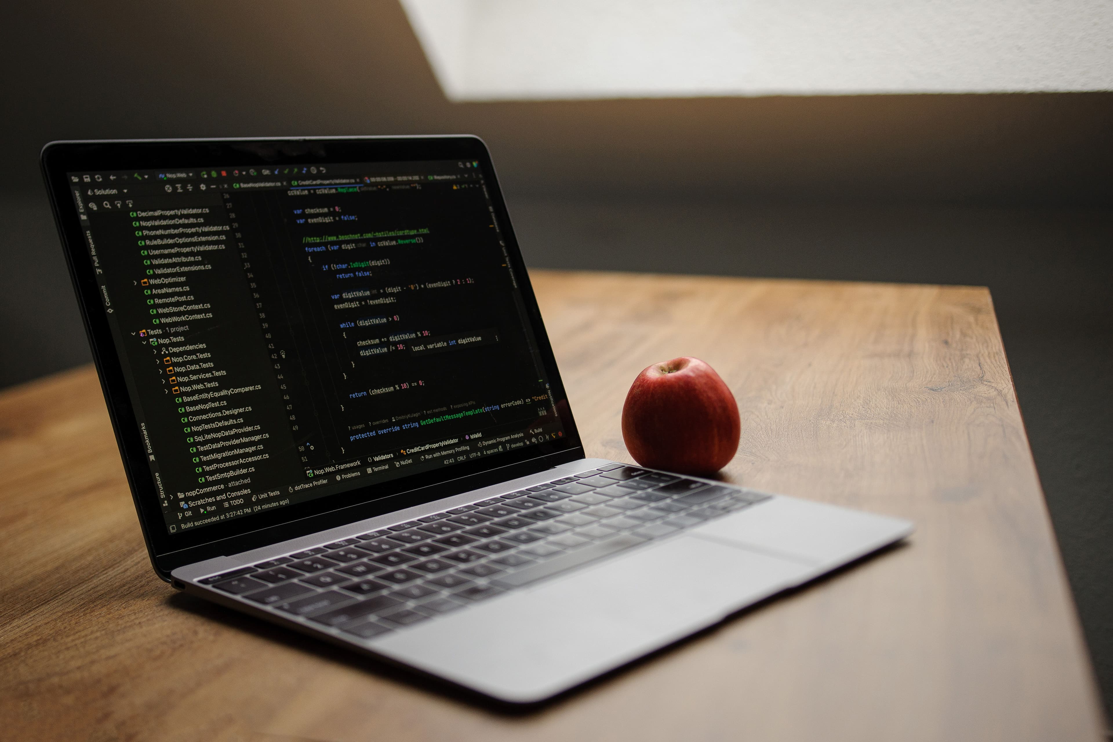 Web Development
